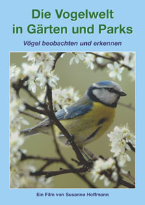 Die Vogelwelt in Gärten und Parks 