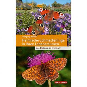 Heimische Schmetterlinge 