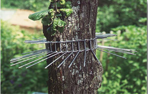 Schwegler Katzenabwehrgürtel bis 115 cm Baumumfang
